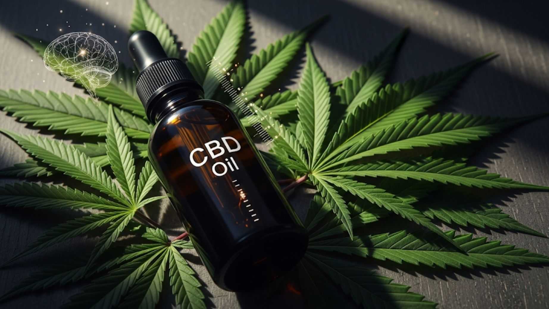 účinky CBD oleja